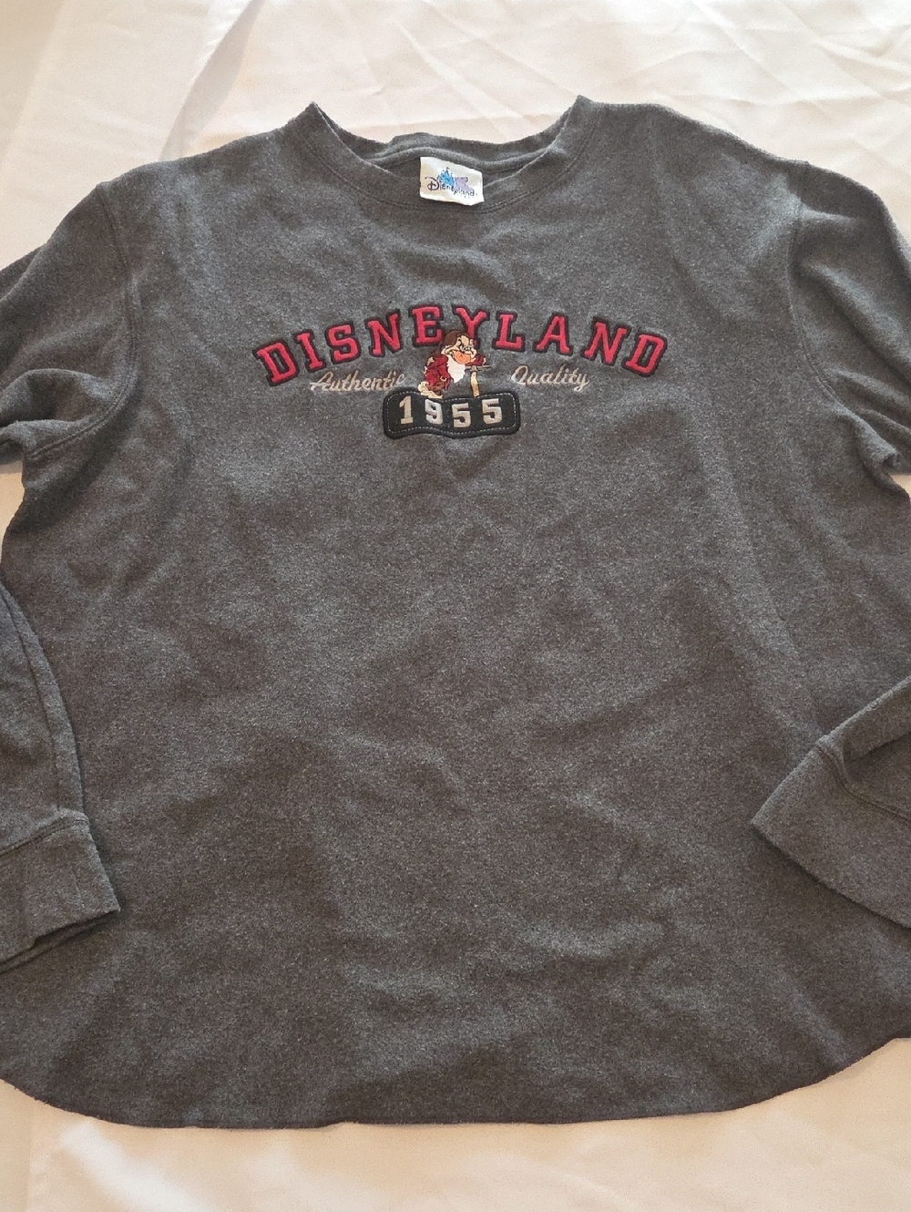 Disney Gray Disneyland 1955 Embroidered Sweatshirt - Picture 1 of 6